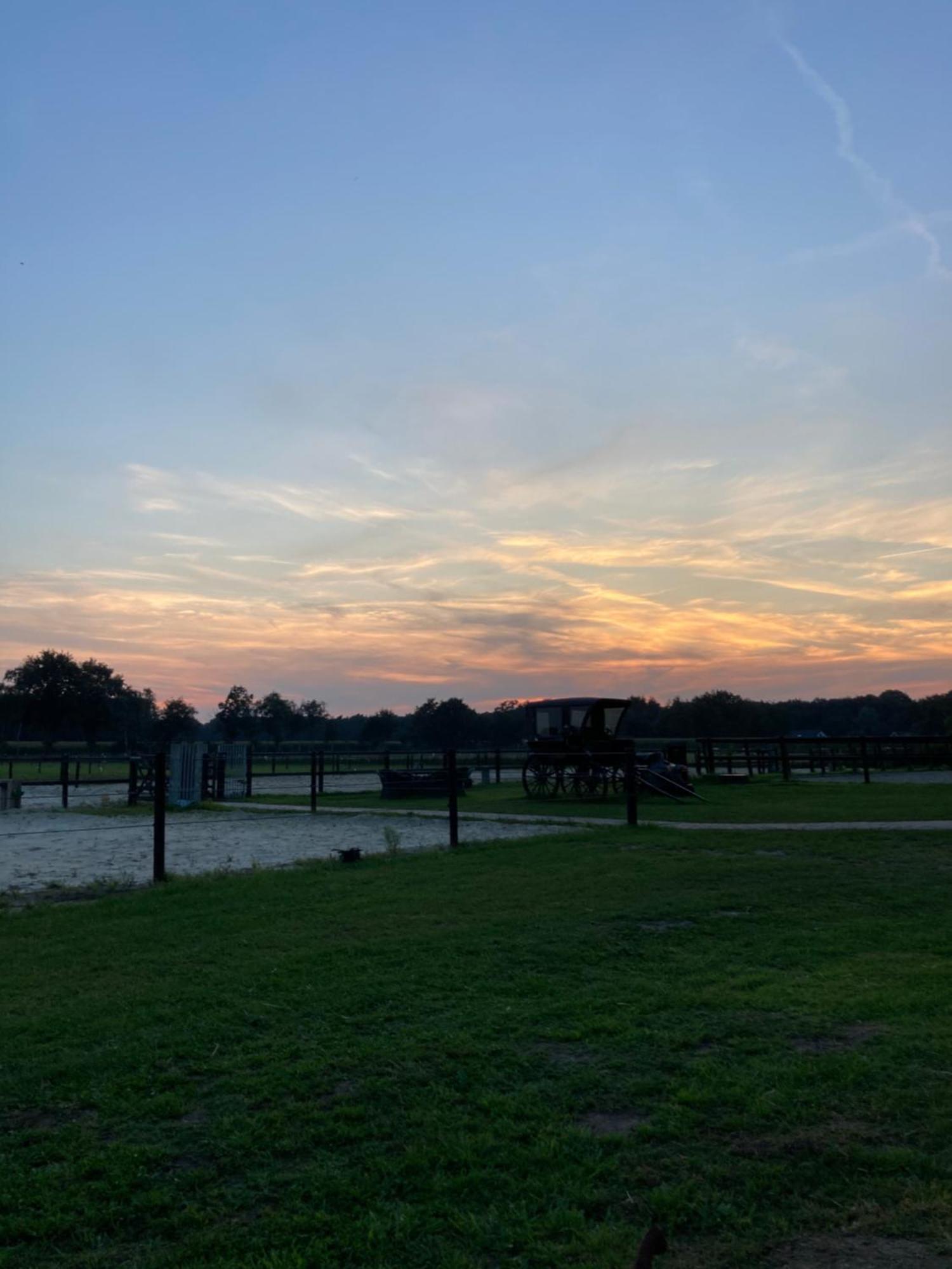 Bed & Breakfast Hoeve Happiness - Ontbijt Inbegrepen - Wellness Aanwezig Voorthuizen Exterior photo
