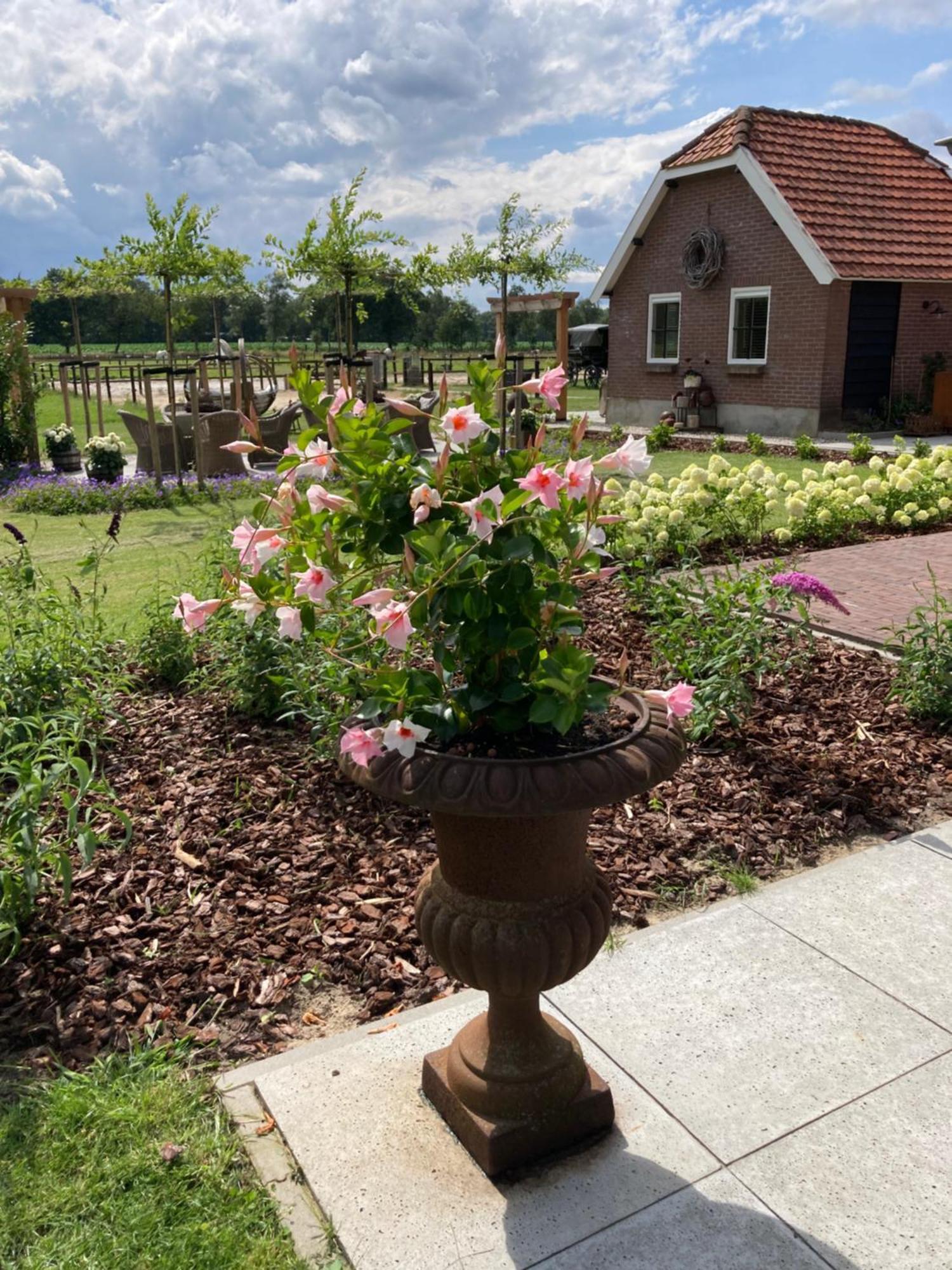 Bed & Breakfast Hoeve Happiness - Ontbijt Inbegrepen - Wellness Aanwezig Voorthuizen Exterior photo