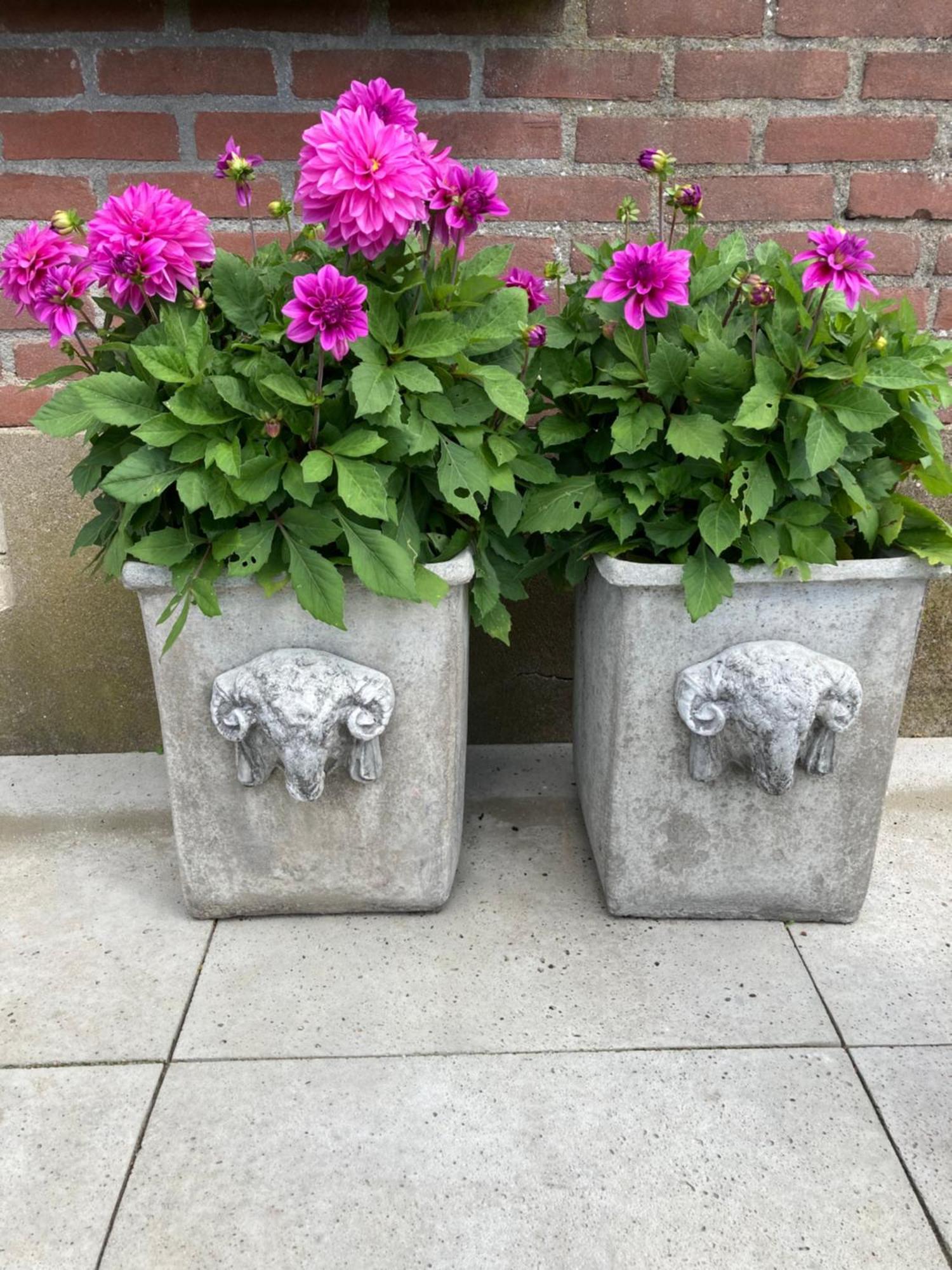 Bed & Breakfast Hoeve Happiness - Ontbijt Inbegrepen - Wellness Aanwezig Voorthuizen Exterior photo